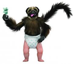 PuppyMonkeyBaby